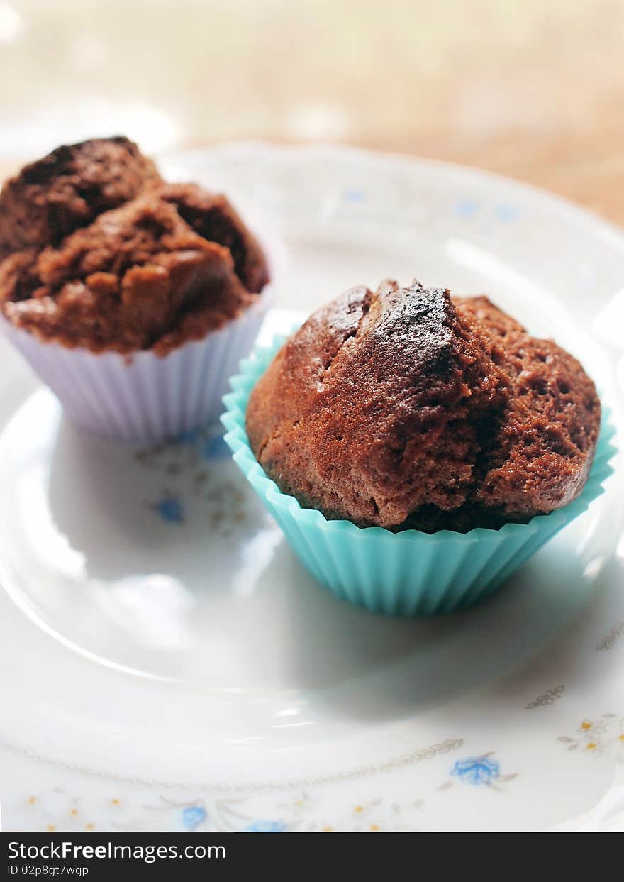 Two chocolate cupcakes on a plate