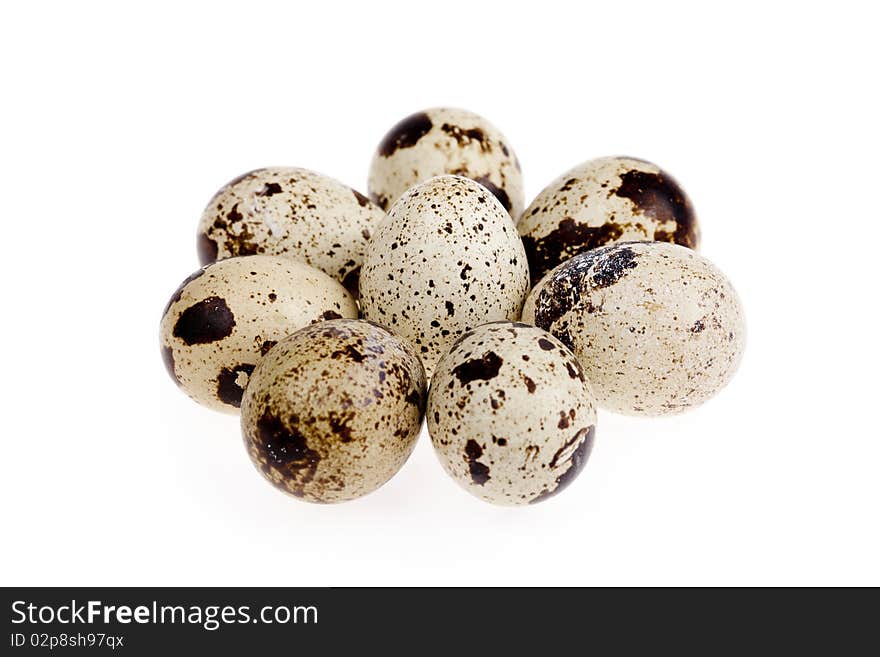 Quail egg