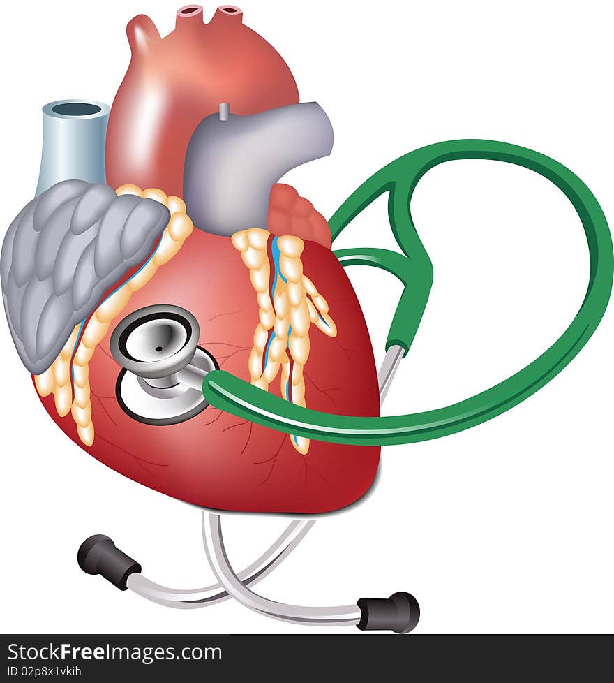 Heart. All elements and textures are individual objects. Vector illustration scale to any size.