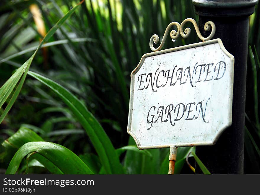 Enchanted Garden