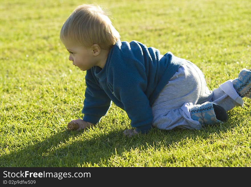 Baby boy crawling on the grass in colour on a sunny day. Baby boy crawling on the grass in colour on a sunny day.