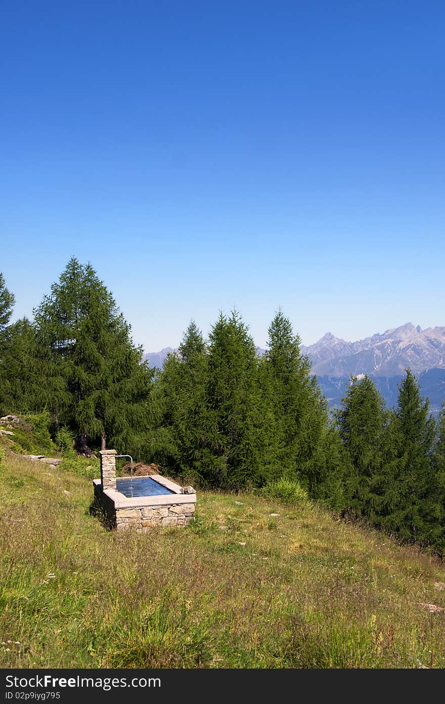 Fountain in the mountain meadows and woods