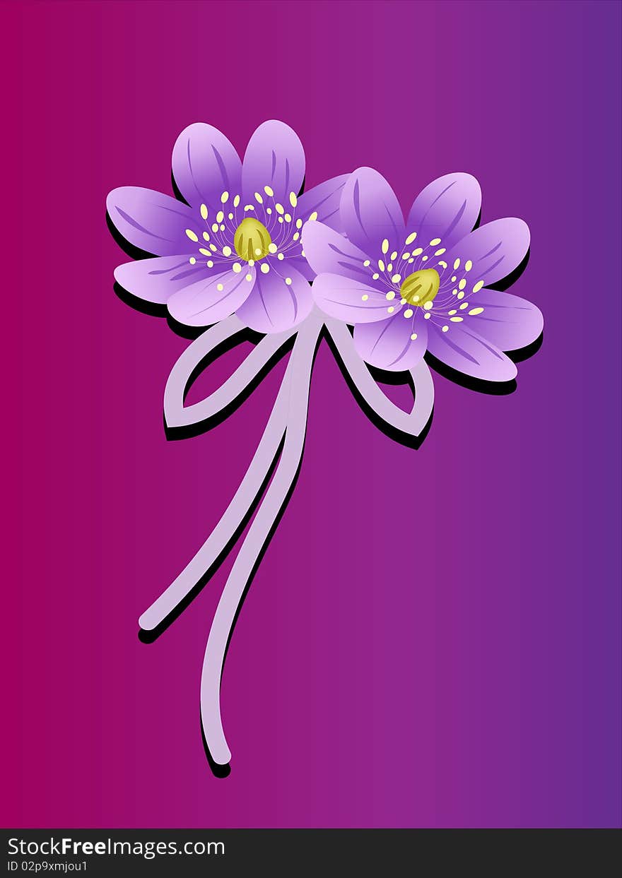 Lotus Flowers with bow an purple background