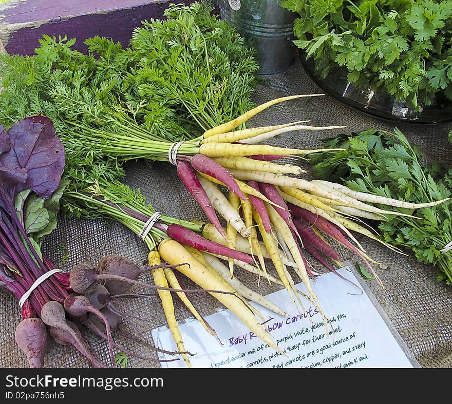 Baby Rainbow Carrots