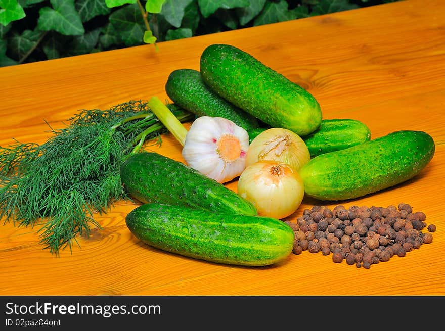 Ingredients for pickles.Still life with cucumbers.