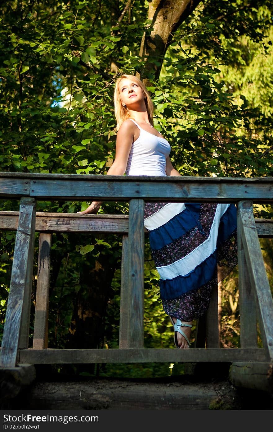 Girl on the Bridge in a blue dress