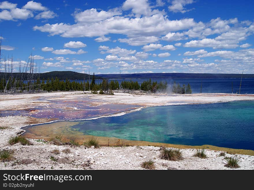 The shore of Lake Yellowstone. Yellowstone National Park. The shore of Lake Yellowstone. Yellowstone National Park.