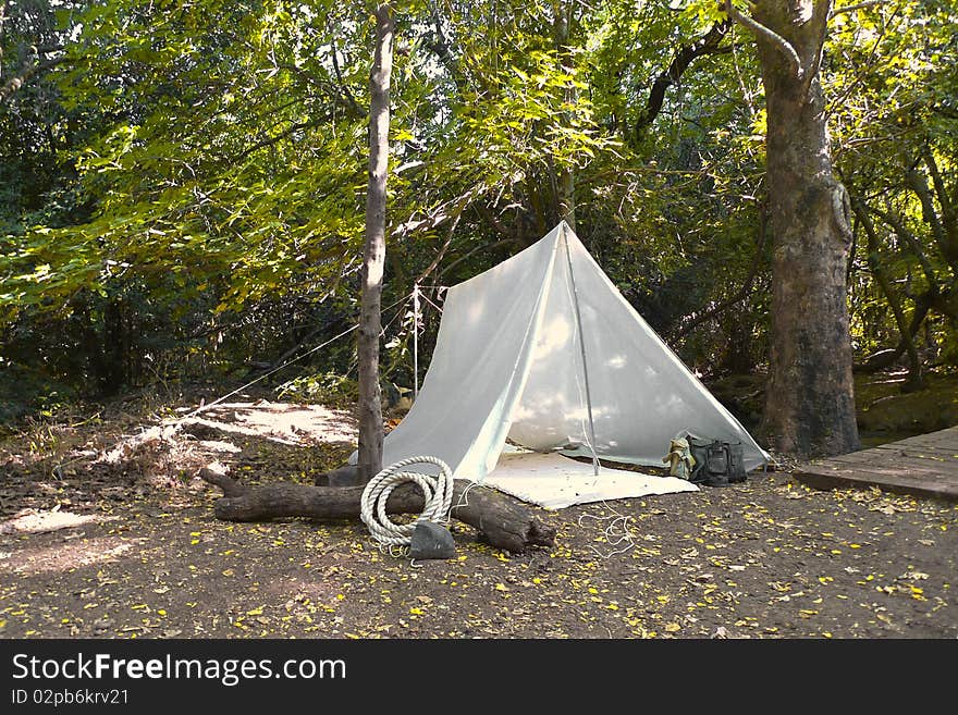 Tent at the Forest