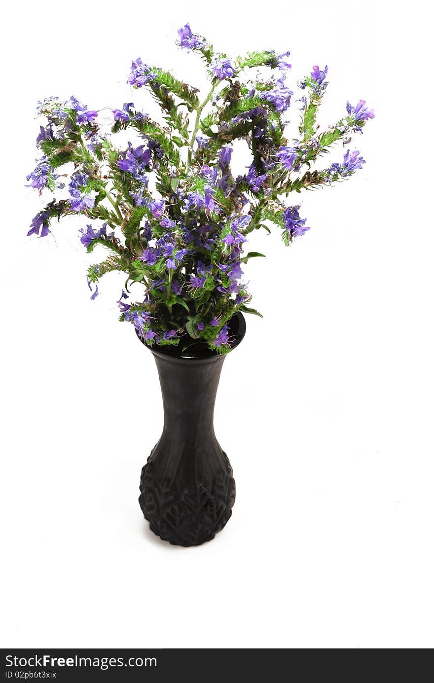 Wild flowers in the black glass vase. Wild flowers in the black glass vase