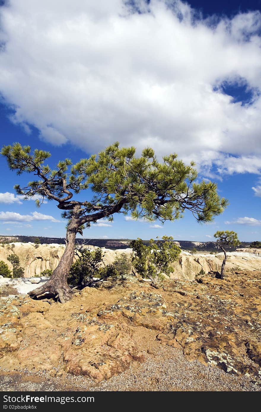 El Morro National Monument