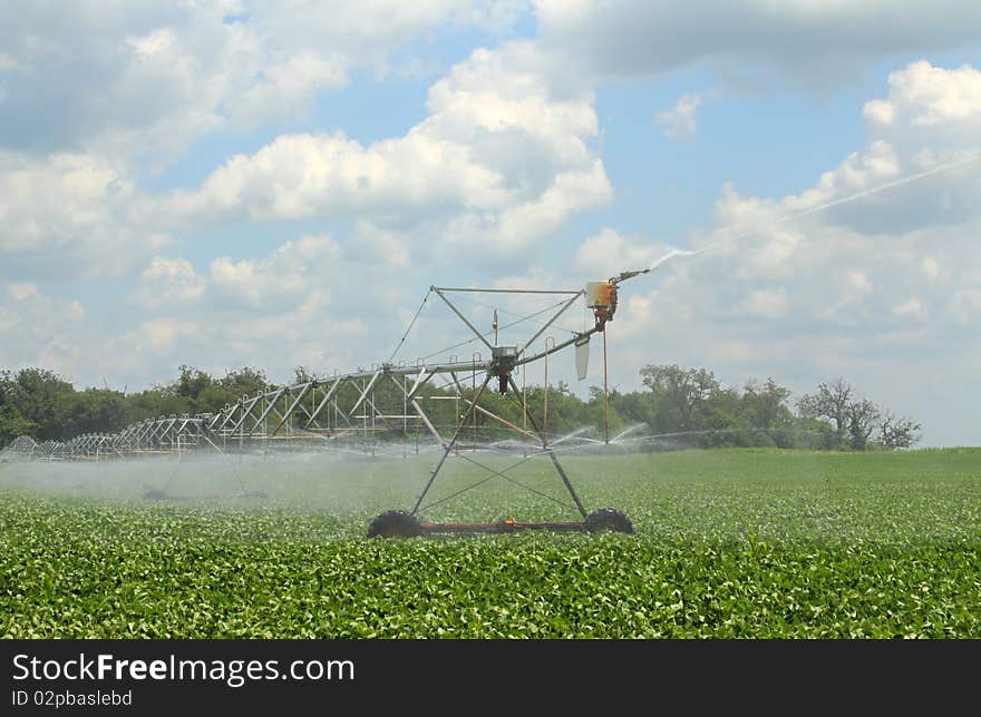 Irrigating A Soybean Field