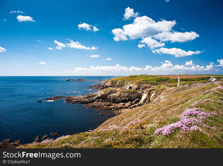 Ocean coast with flowers an sky. Ocean coast with flowers an sky