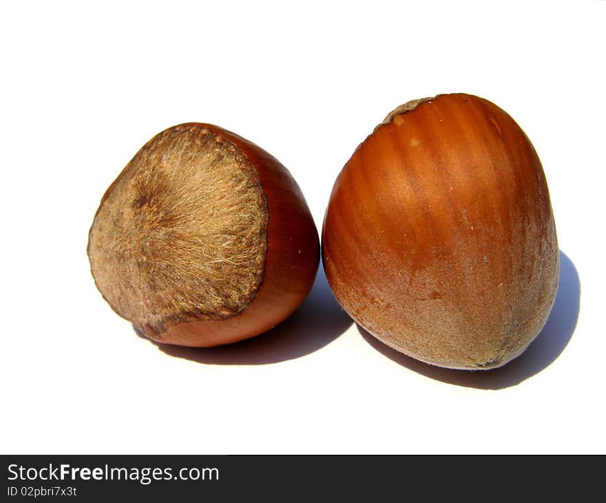 Detail photo of two hazelnuts background