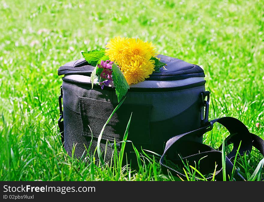 Photo bag on the green grass with flowers. Photo bag on the green grass with flowers