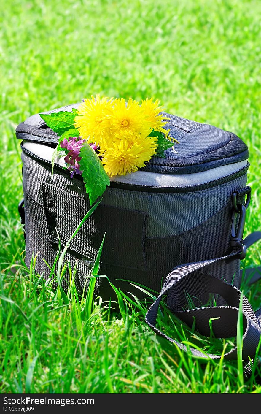 Photo bag on the green grass with flowers