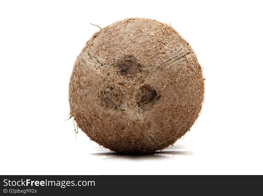 Coconut isolated on white background