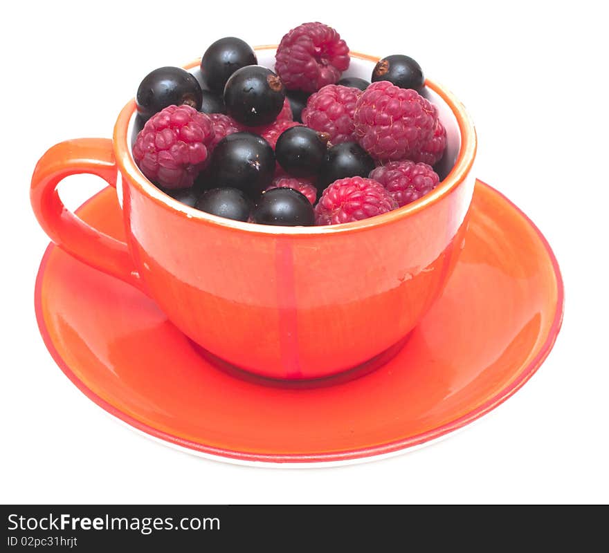 Tea cup with berries