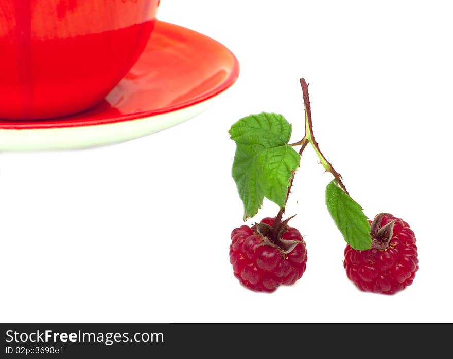 Branch of berry of raspberry on white background