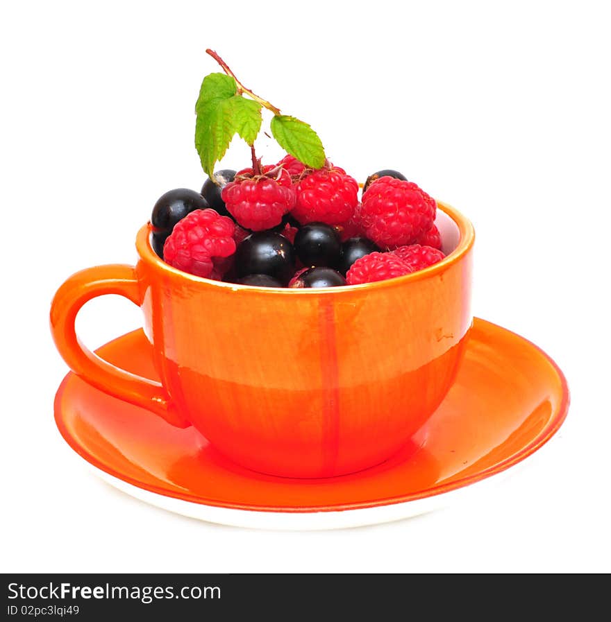 Tea cup with berries