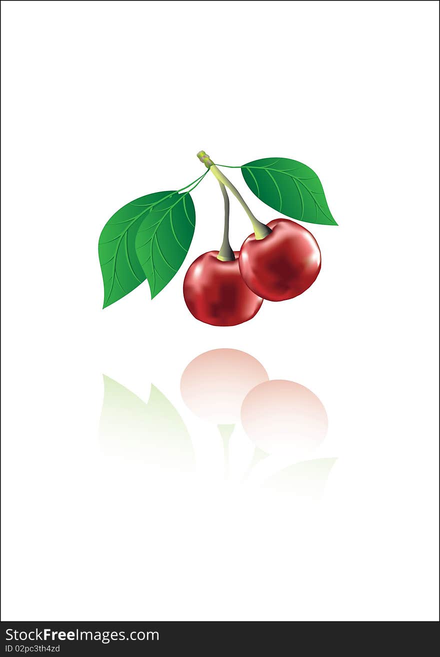 A cherry isolated on a white background with reflection