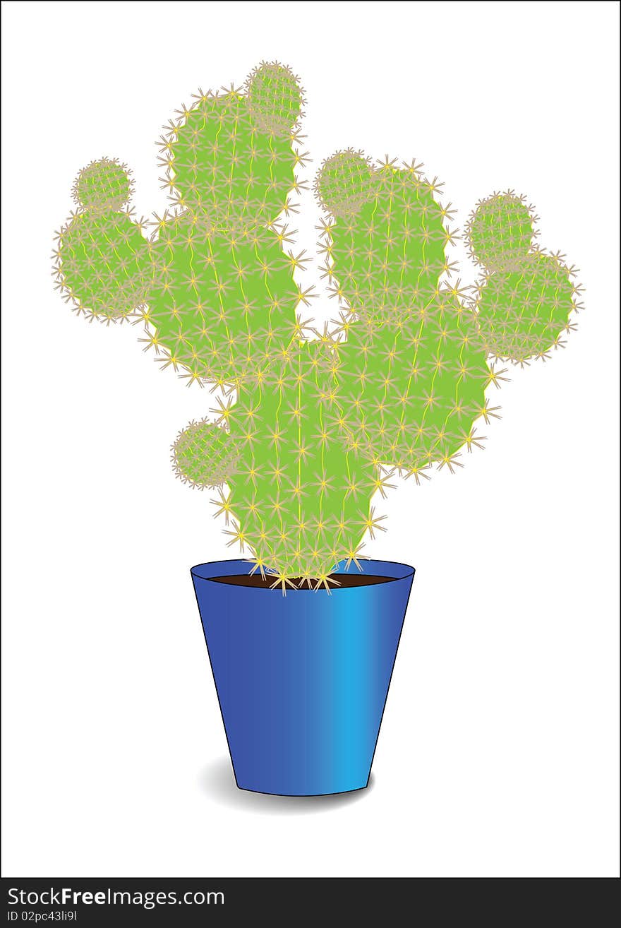 A cactus in a blue flowerpot on a white background