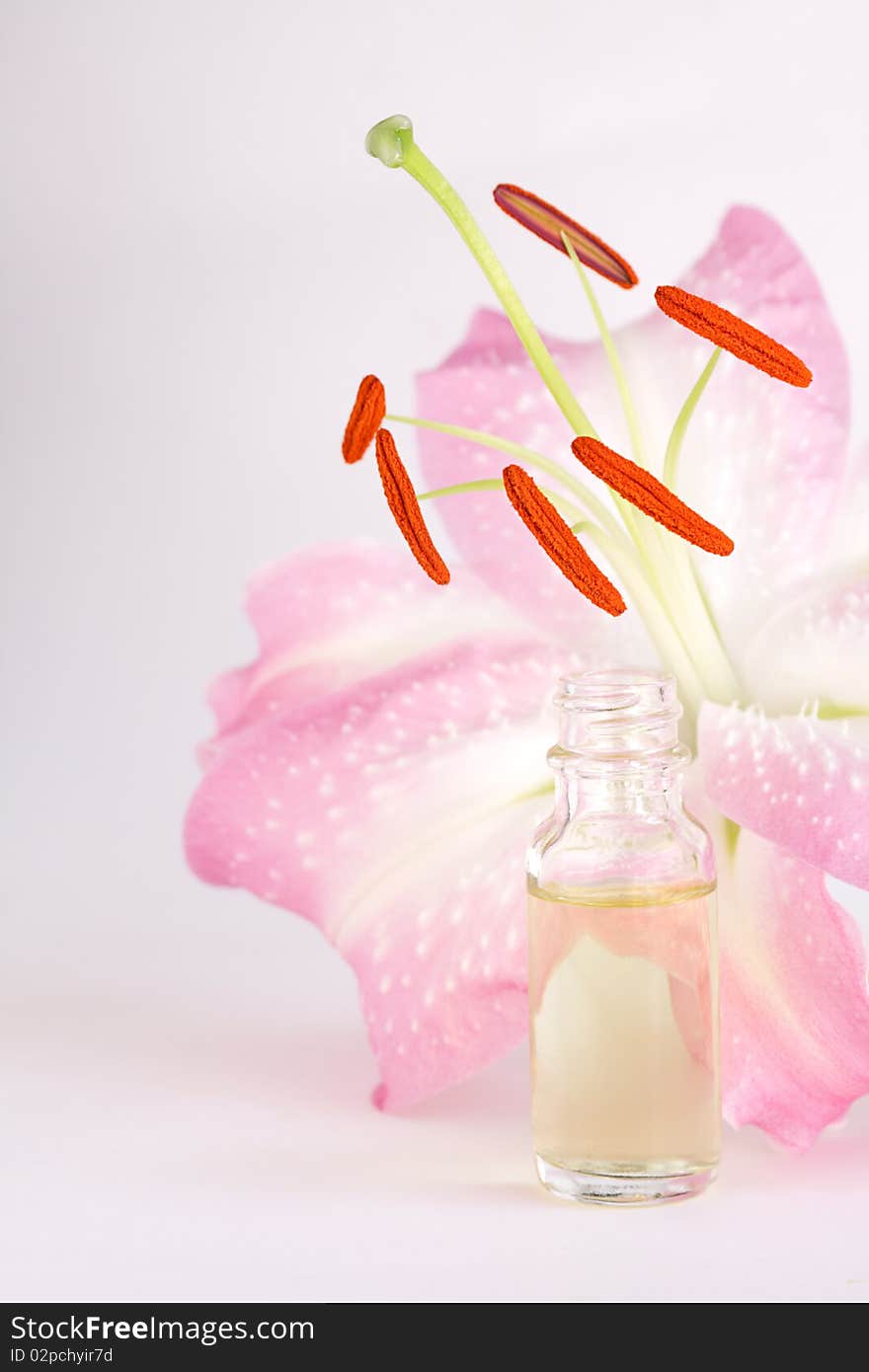 Essential oil set in front of fragrant pink lily. Essential oil set in front of fragrant pink lily