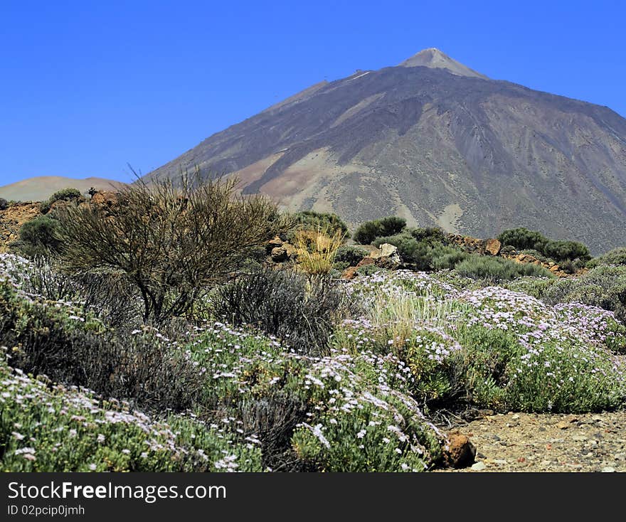 Teide, the highest hill of Spain