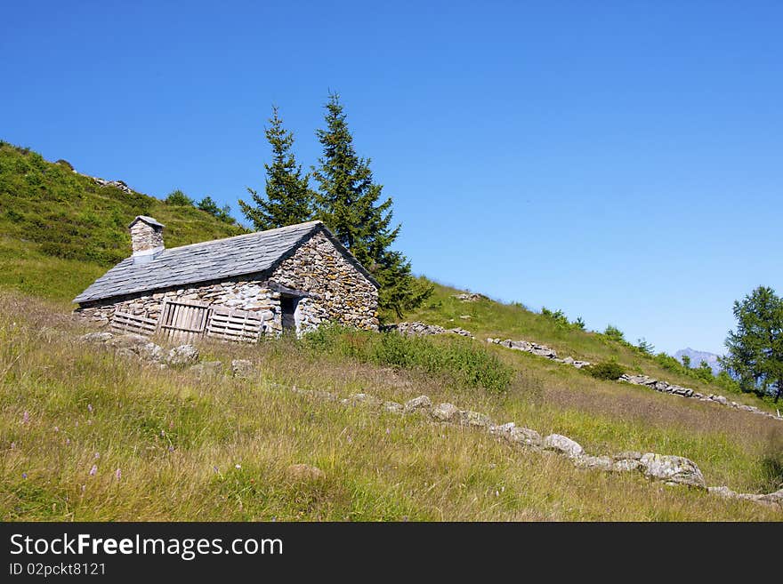 House In The Meadow