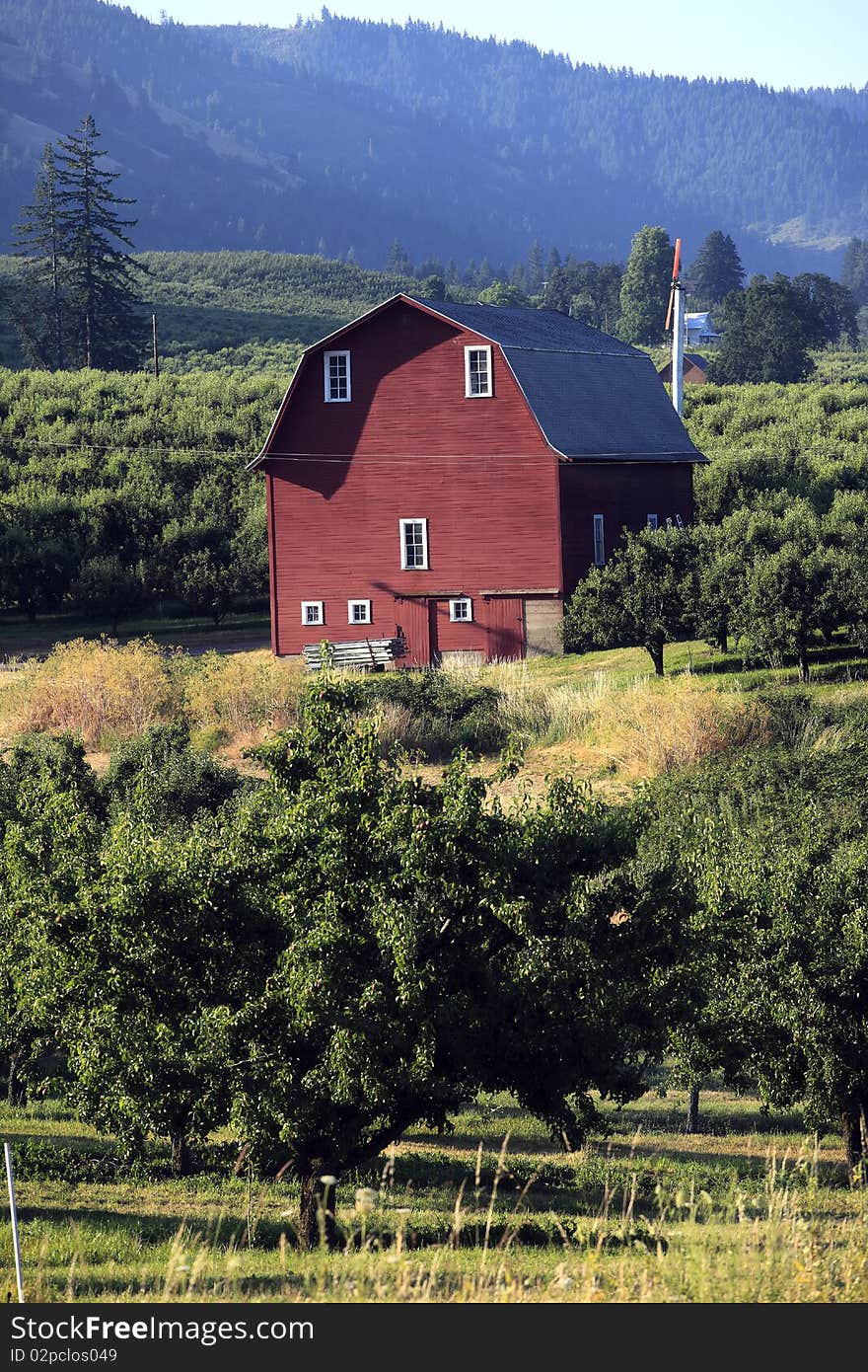 Red barn & orchards.