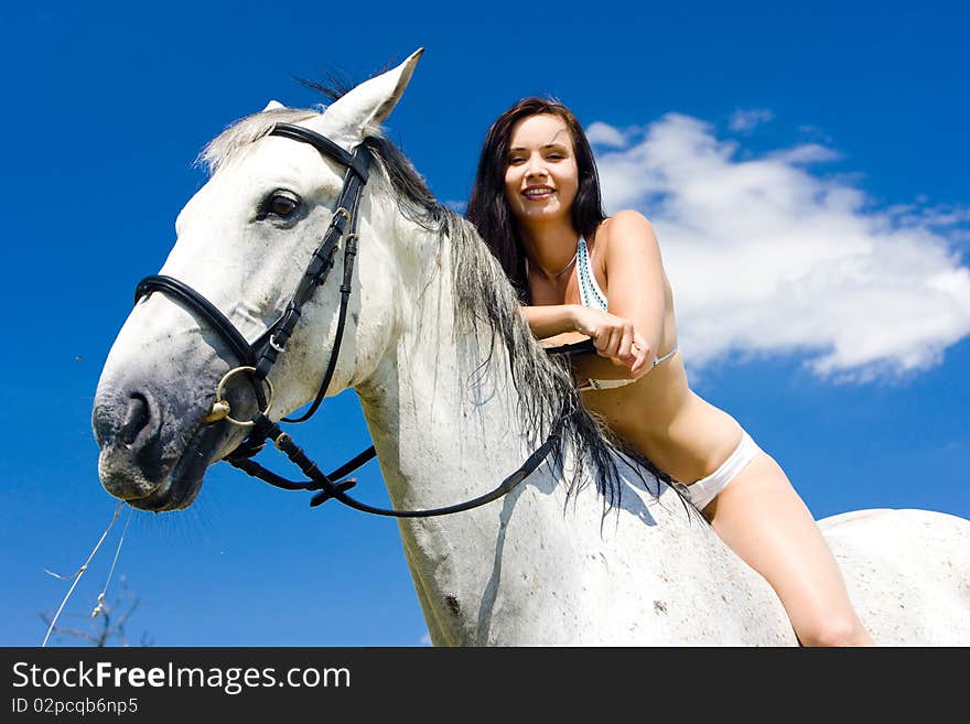 Young woman equestrian on horseback