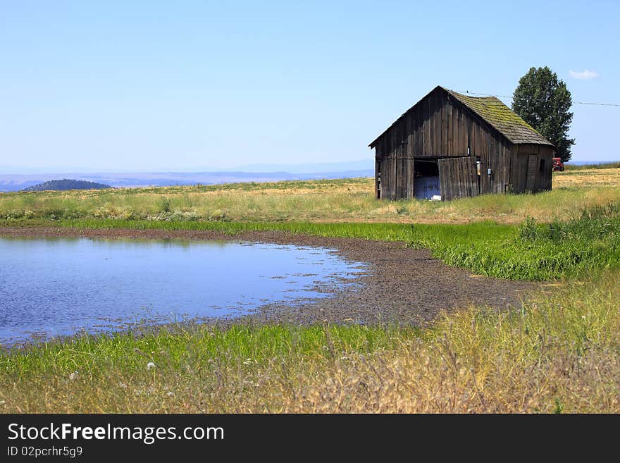 Old shack & a pond.