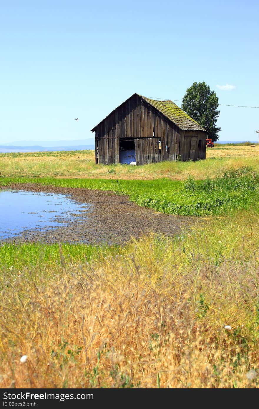 Old shack & a pond.