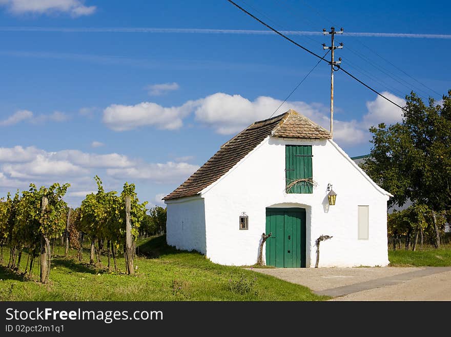 Wine cellar