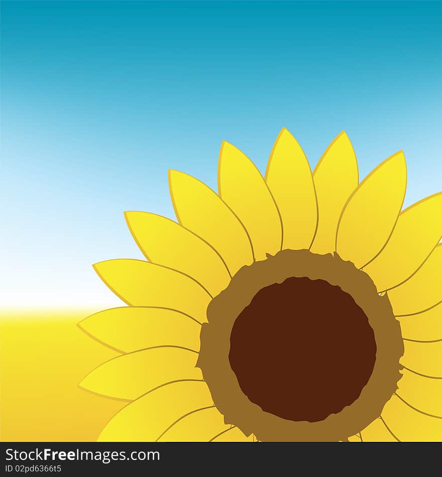 Sunflower on summer field, vector illustration