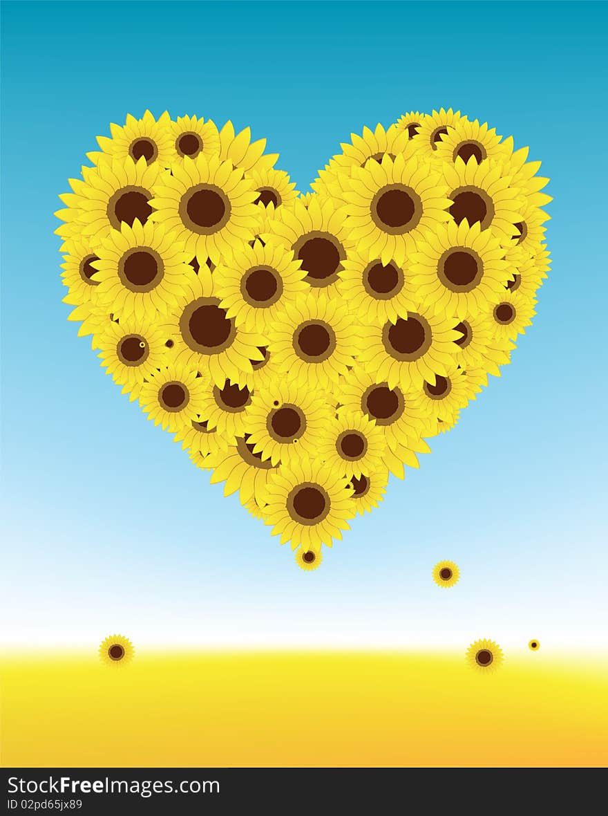 Sunflowers heart shape, summer field