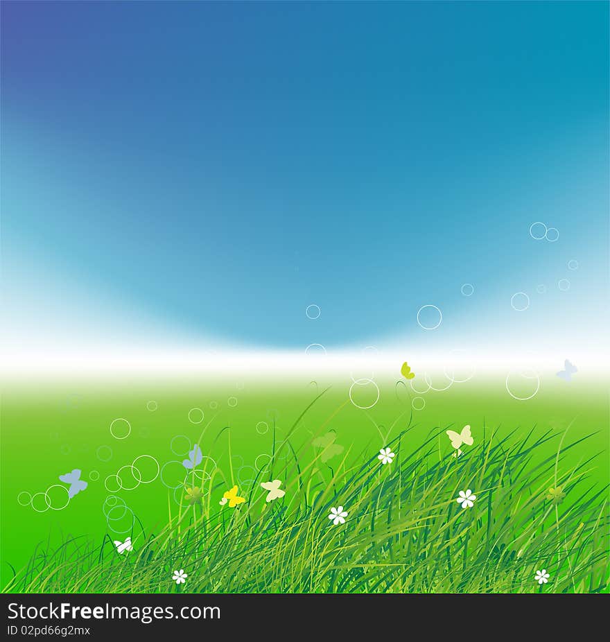 Green field with butterflies, summer background