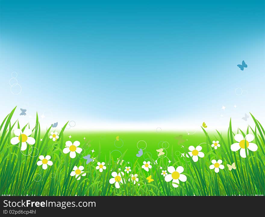 Green field with butterflies, summer background