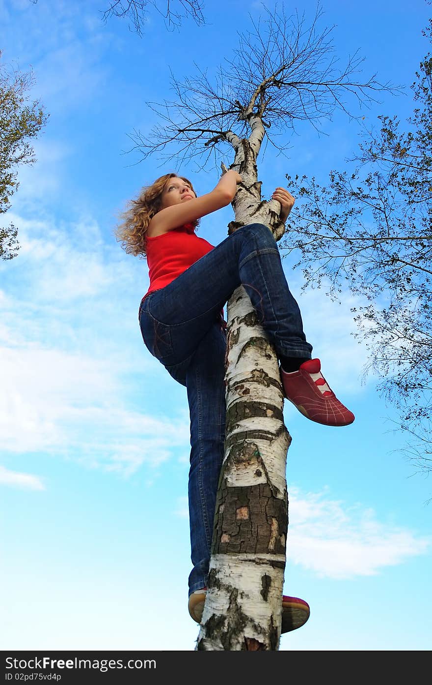 The girl on tree top looks afar. The girl on tree top looks afar