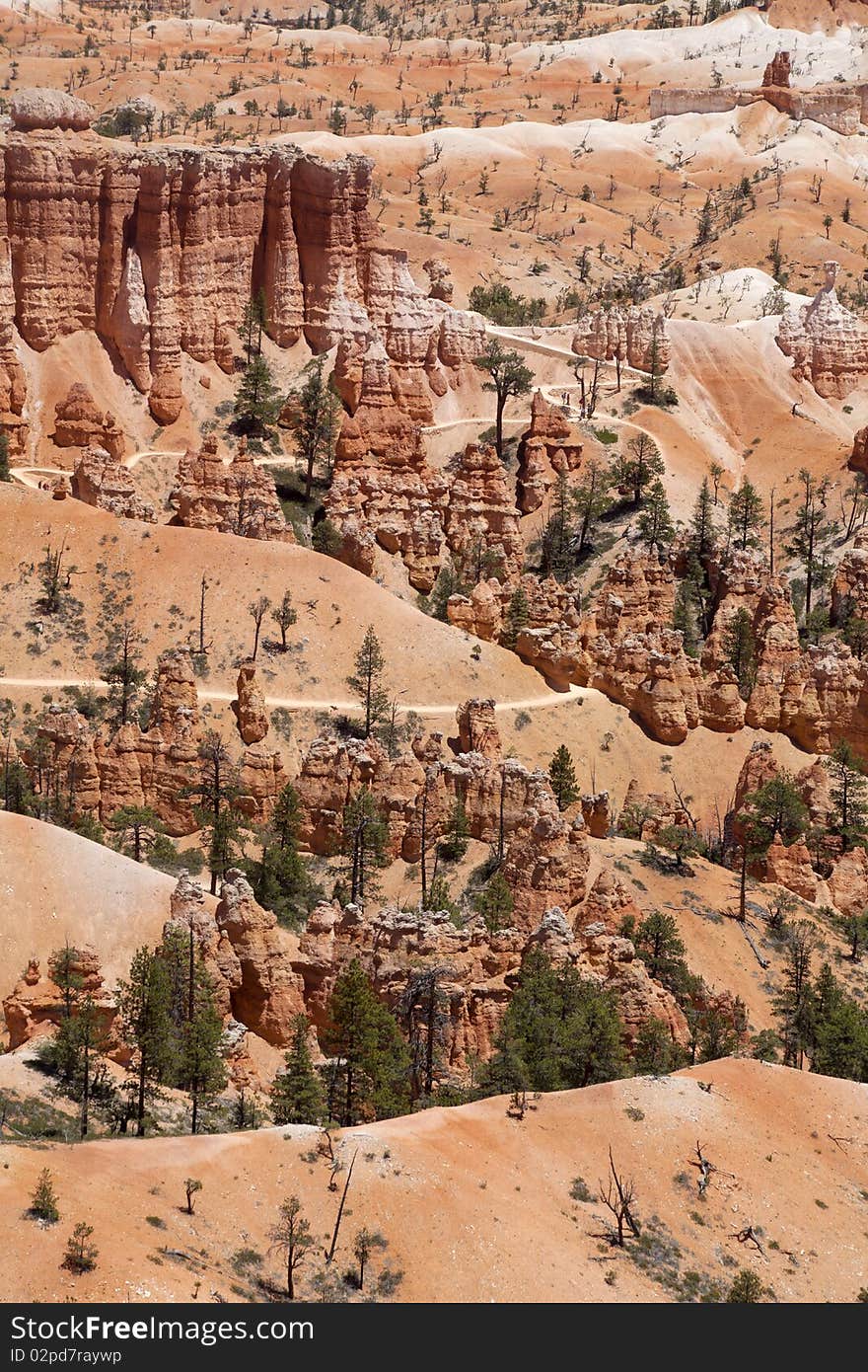 Bryce Canyon In Utah