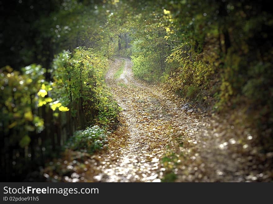 Rural scenery in southern Poland