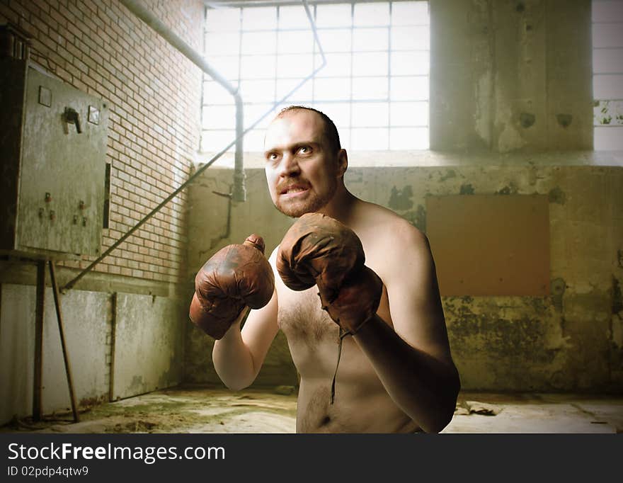 Portrait of a boxer with aggressive expression