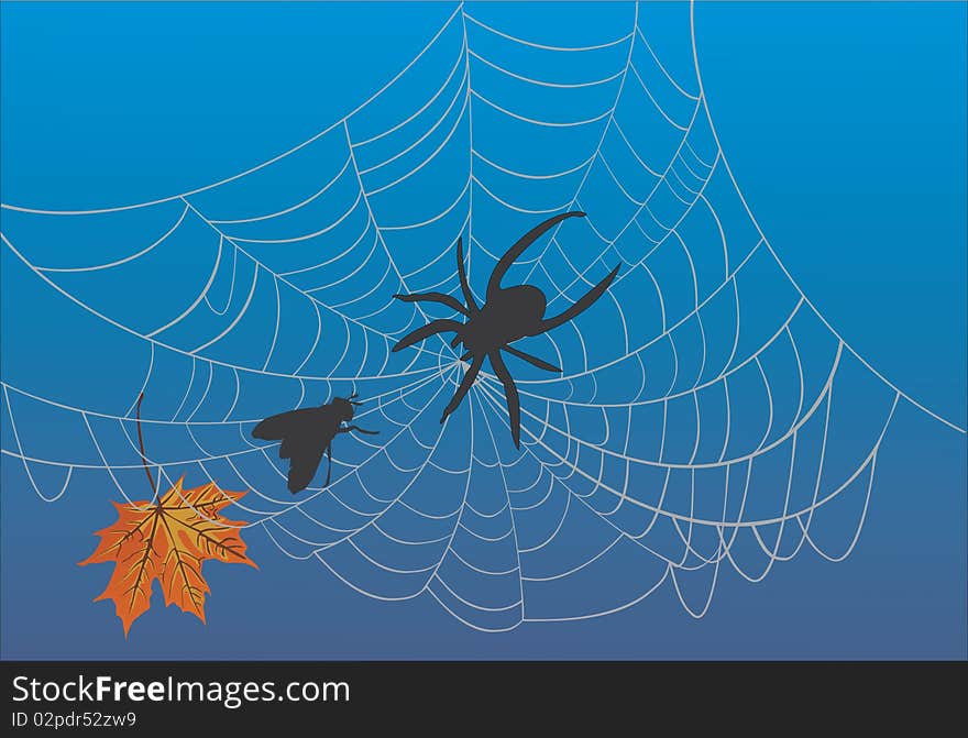 Illustration with spider web and fly. Illustration with spider web and fly