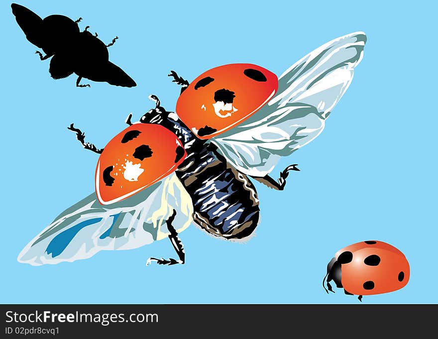 Illustration with three ladybirds on blue background