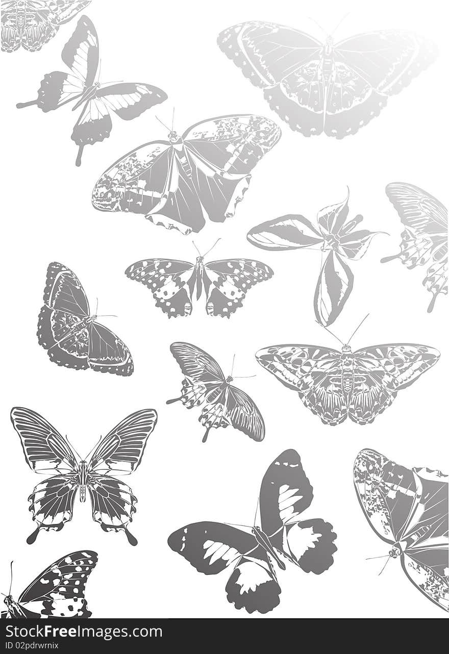 Background With Grey Butterflies