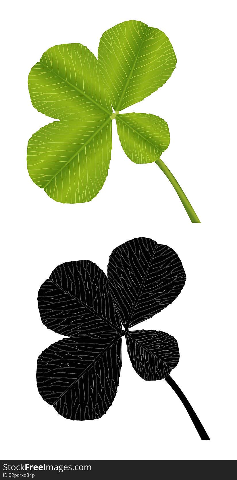 Green and black clower leaves