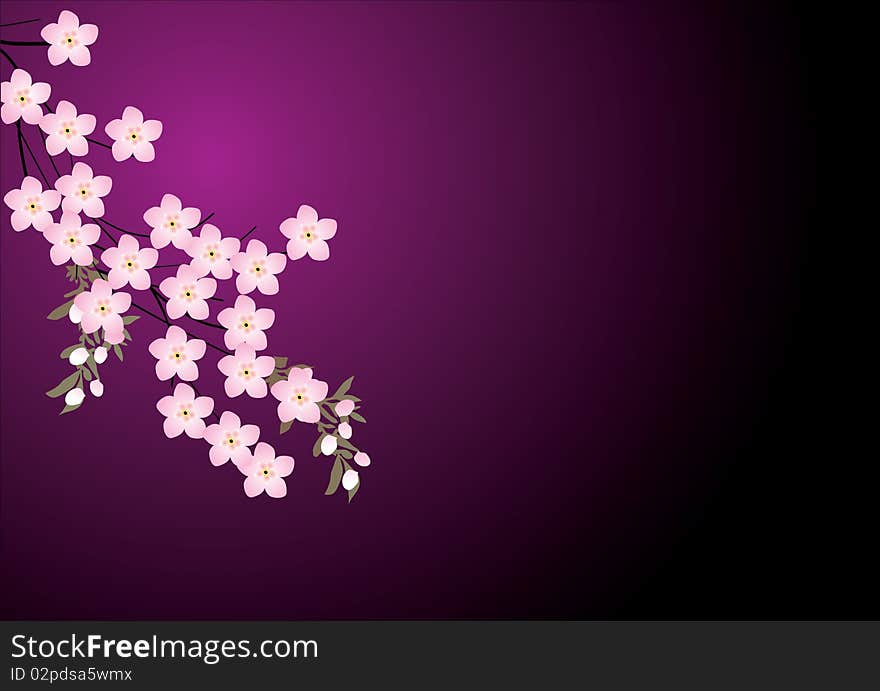 Pink Flowers On Dark Lilac Background