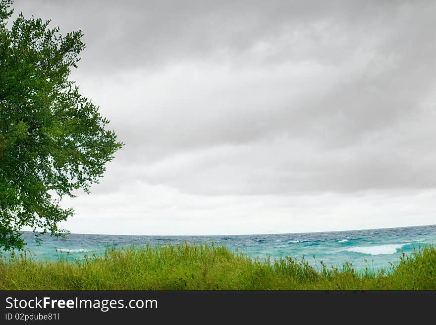 Sea coast and grass and cloudy sky