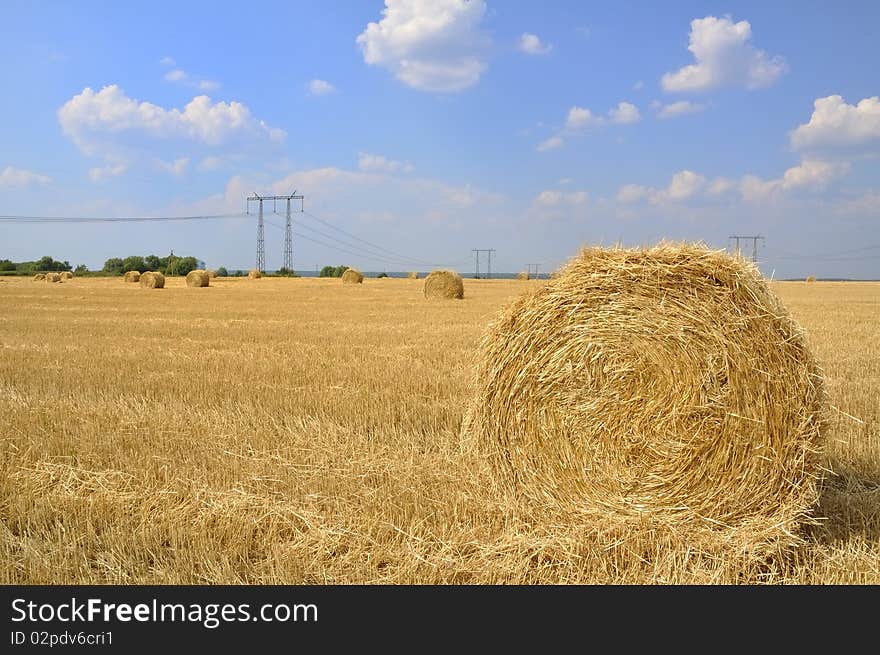 Hay rolls harvested in late summer