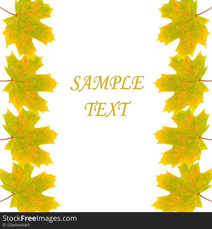 Frame of autumn maple leaves on white background