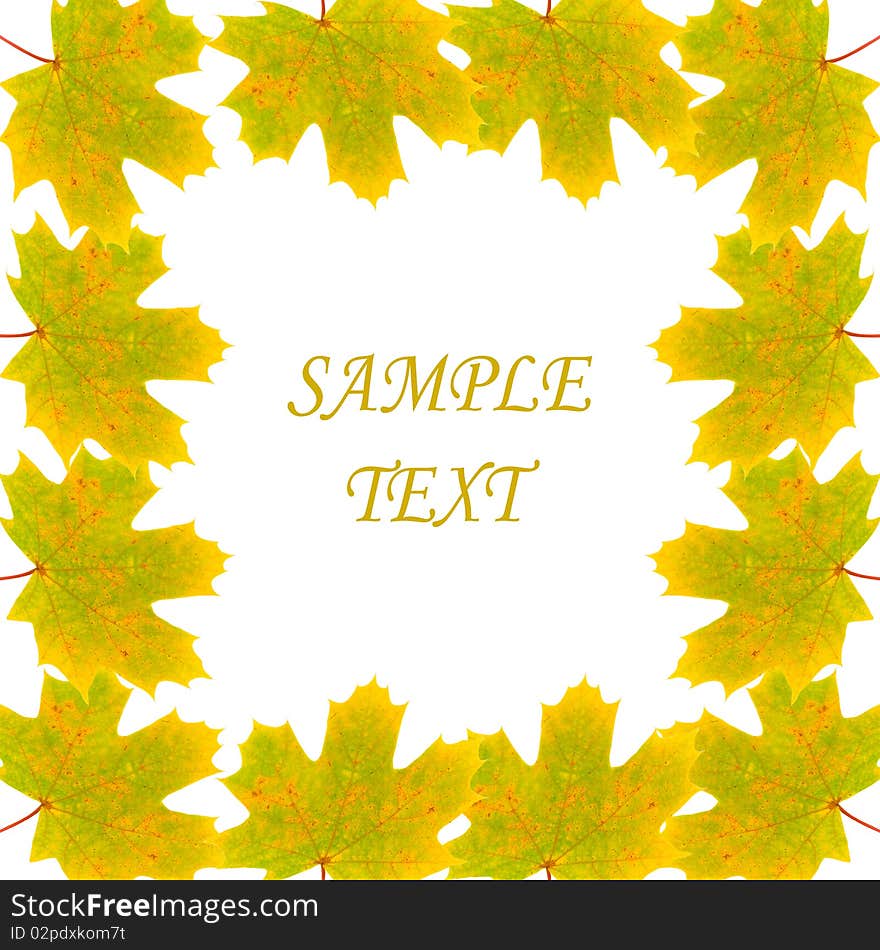 Frame of autumn maple leaves